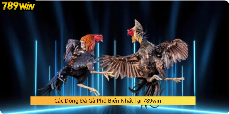 Các Dòng Đá Gà Phổ Biến Nhất Tại 789win