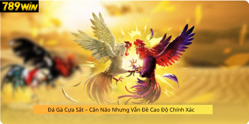 Đá Gà Cựa Dao – Tốc Độ, Mạnh Mẽ Và Cực Kỳ Kịch Tính