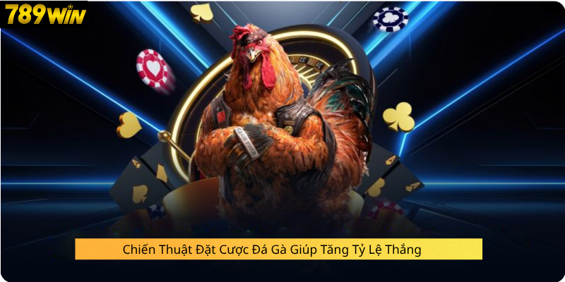 Chiến Thuật Đặt Cược Đá Gà Giúp Tăng Tỷ Lệ Thắng