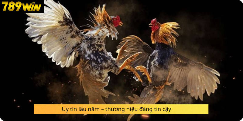 Uy tín lâu năm – thương hiệu đáng tin cậy