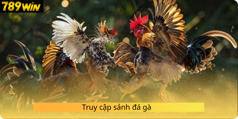 Truy cập sảnh đá gà