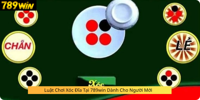 Luật Chơi Xóc Đĩa Tại 789win Dành Cho Người Mới